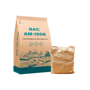 BAC AM-1006
